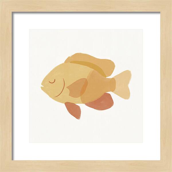 Damselfish Minimalism