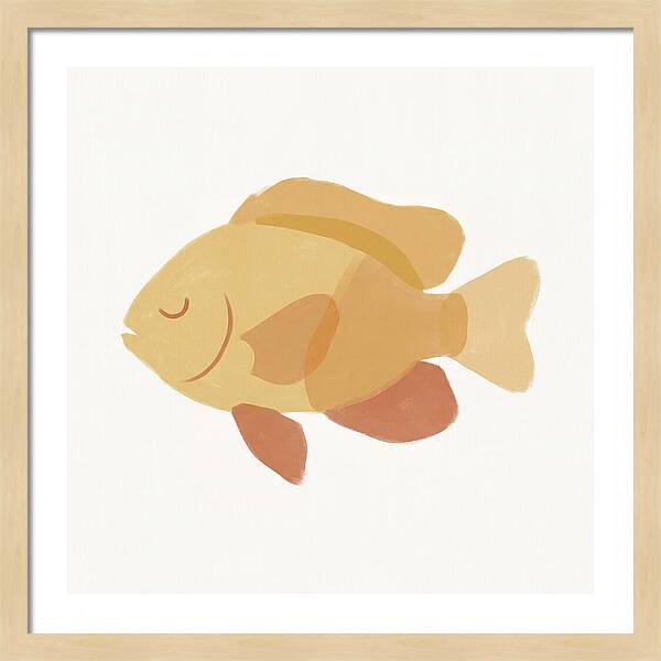 Damselfish Minimalism