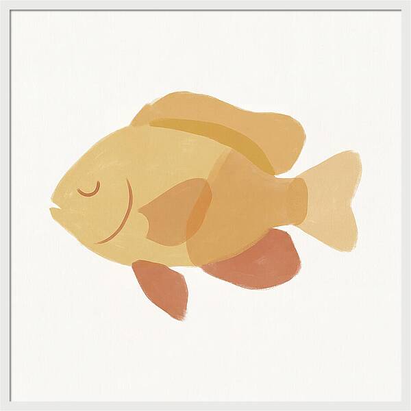 Damselfish Minimalism