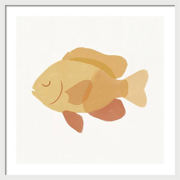 Damselfish Minimalism