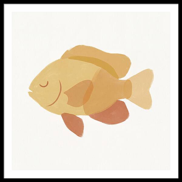 Damselfish Minimalism