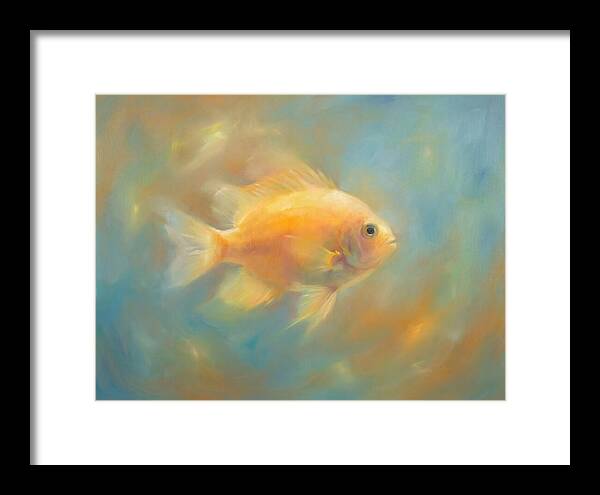 Damselfish Swimming