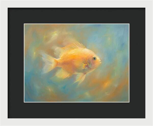 Damselfish Swimming