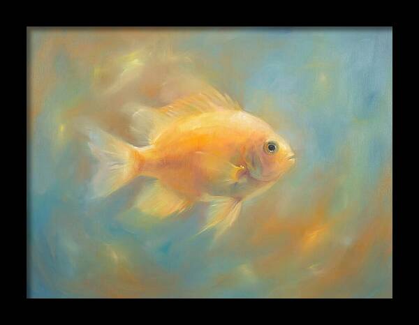 Damselfish Swimming