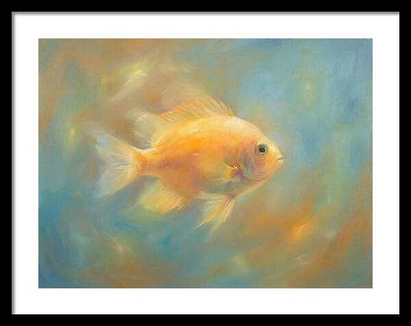 Damselfish Swimming