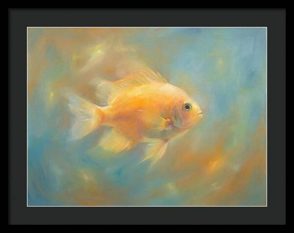 Damselfish Swimming