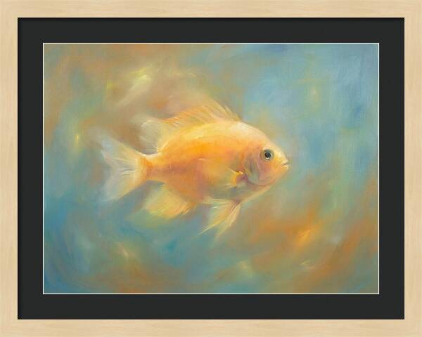 Damselfish Swimming