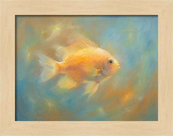 Damselfish Swimming