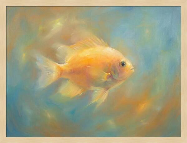 Damselfish Swimming