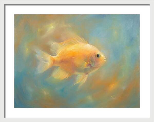 Damselfish Swimming