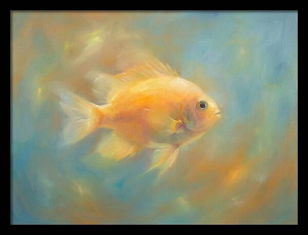 Damselfish Swimming