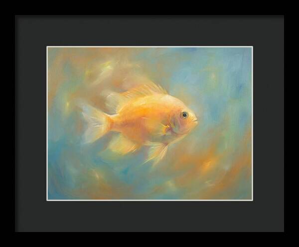 Damselfish Swimming