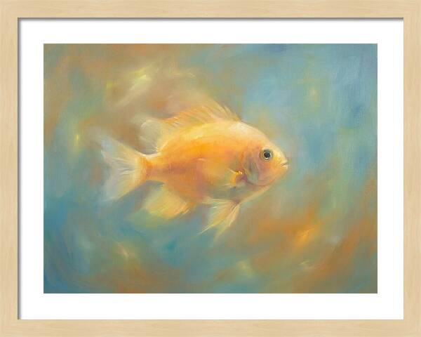 Damselfish Swimming