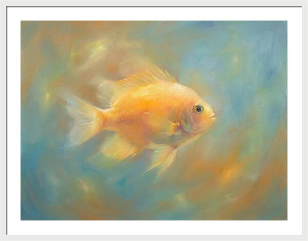 Damselfish Swimming