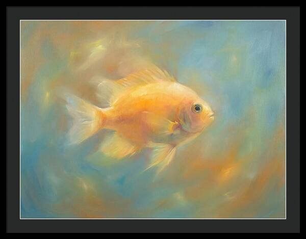 Damselfish Swimming