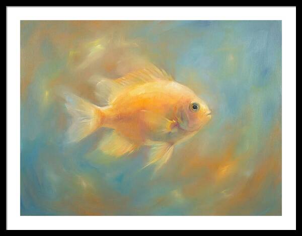 Damselfish Swimming
