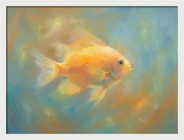 Damselfish Swimming