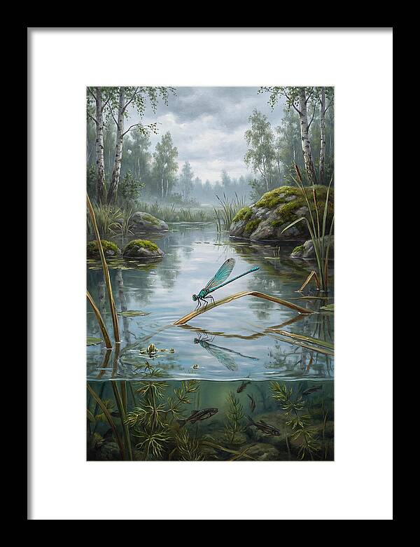Damselfly On Tranquil Waters