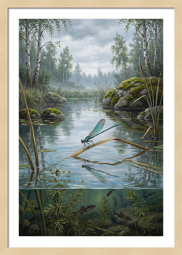 Damselfly On Tranquil Waters