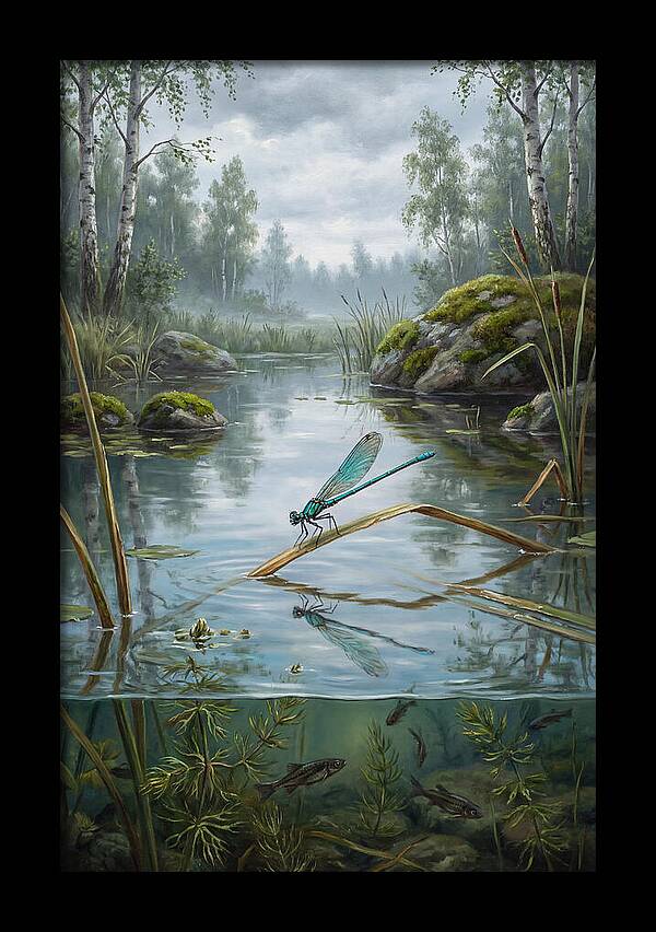 Damselfly On Tranquil Waters