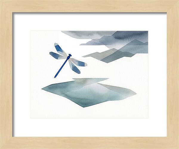 Damselfly Over Tranquil Waters