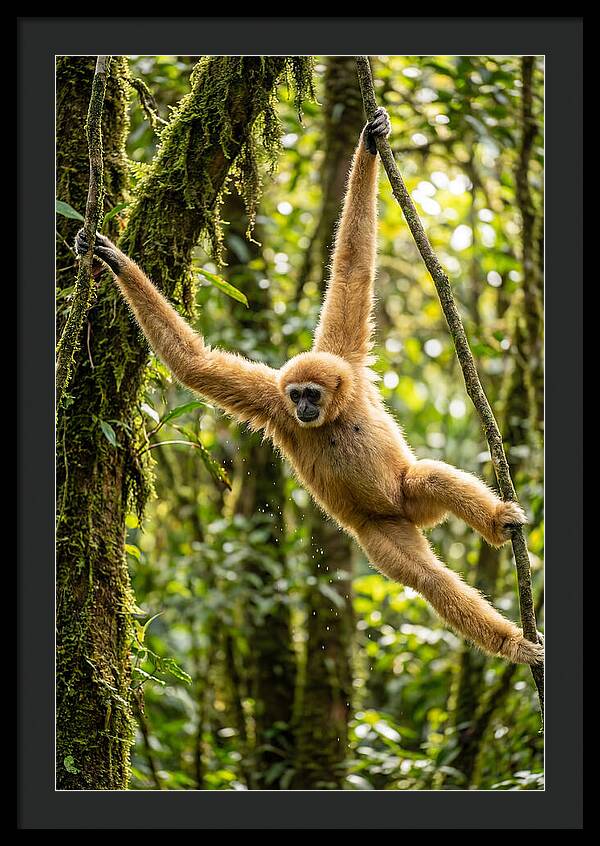 Dancing Among The Trees