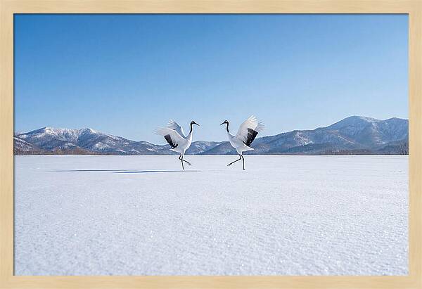 Dancing Cranes In Winter Landscape