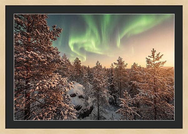 Dancing Green Aurora Borealis