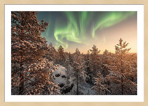 Dancing Green Aurora Borealis