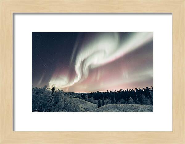 Dancing Lights Above Alaskan Wilderness