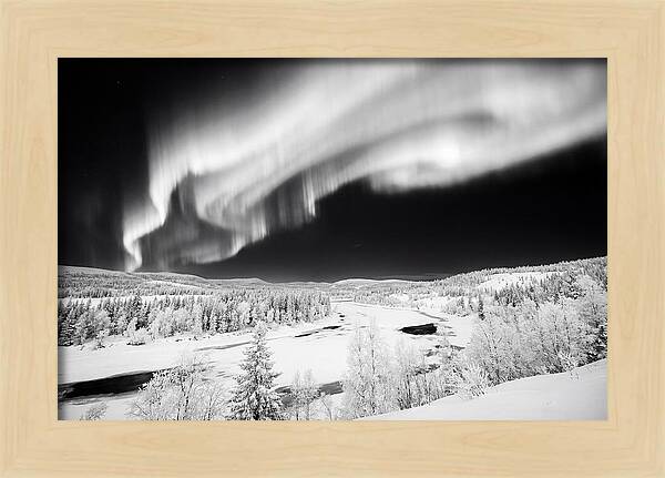 Dancing Lights Over Alaskan Wilderness