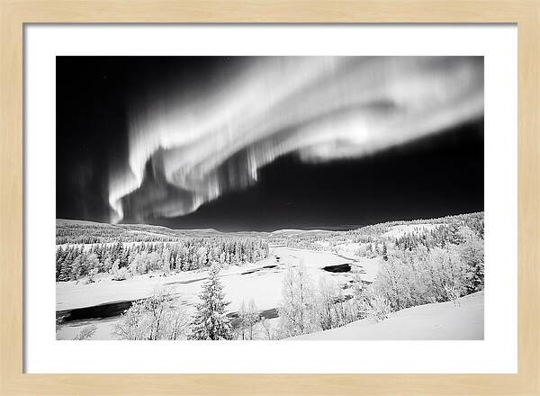 Dancing Lights Over Alaskan Wilderness