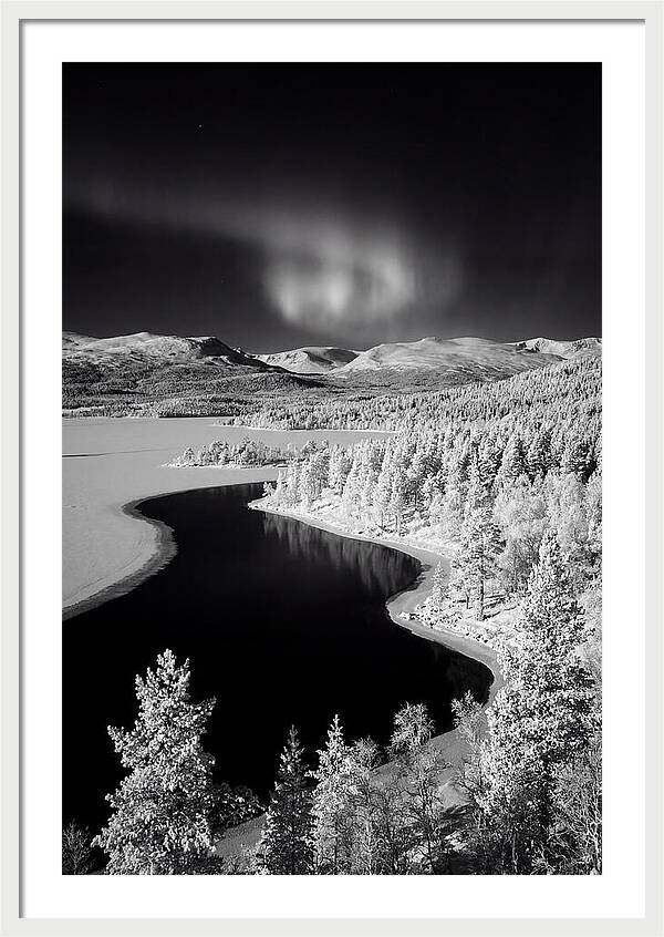 Dancing Lights Over Tornetrask Lake