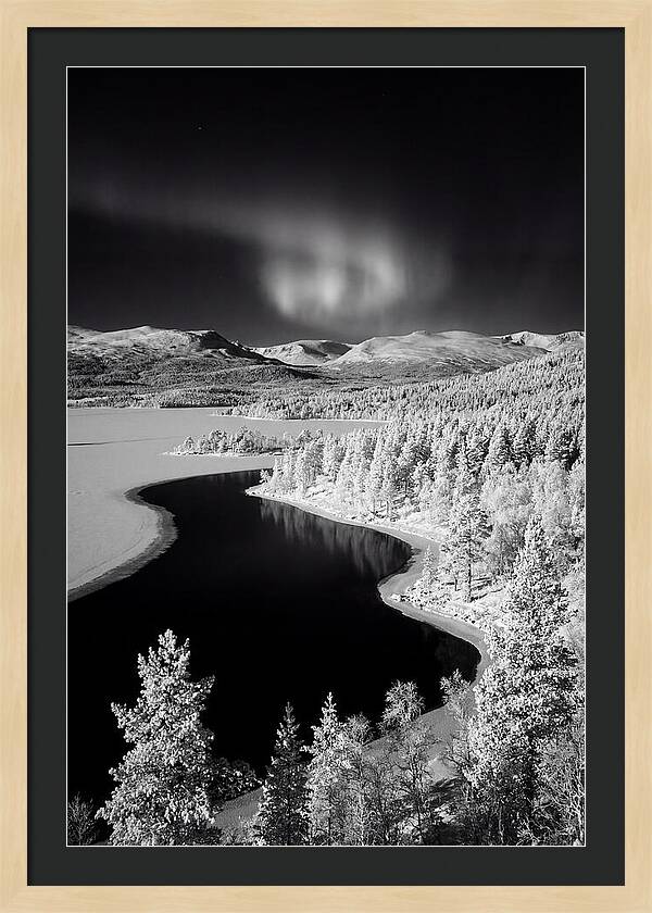Dancing Lights Over Tornetrask Lake