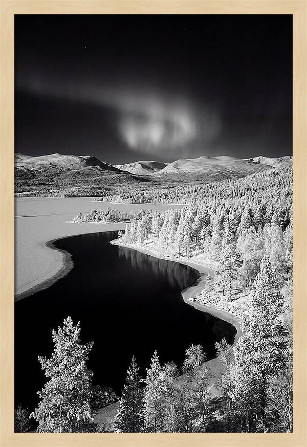 Dancing Lights Over Tornetrask Lake