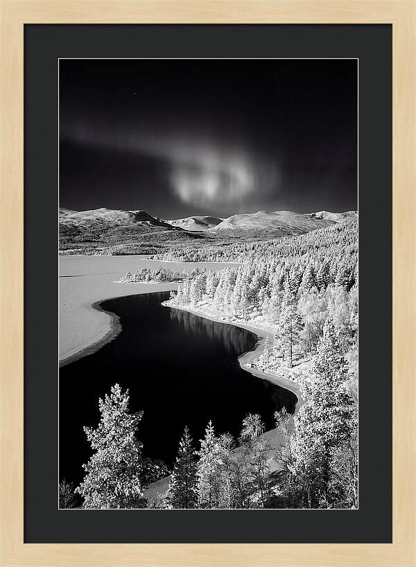 Dancing Lights Over Tornetrask Lake