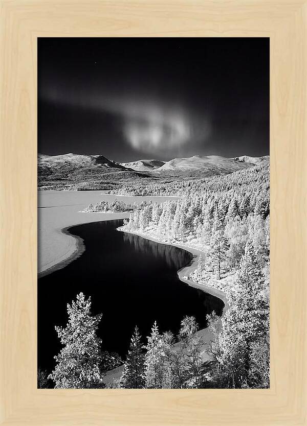 Dancing Lights Over Tornetrask Lake