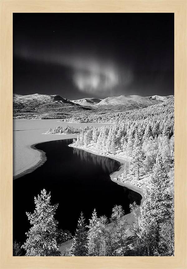 Dancing Lights Over Tornetrask Lake