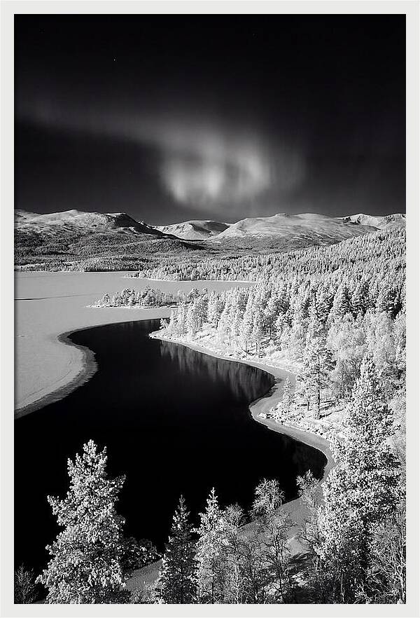 Dancing Lights Over Tornetrask Lake
