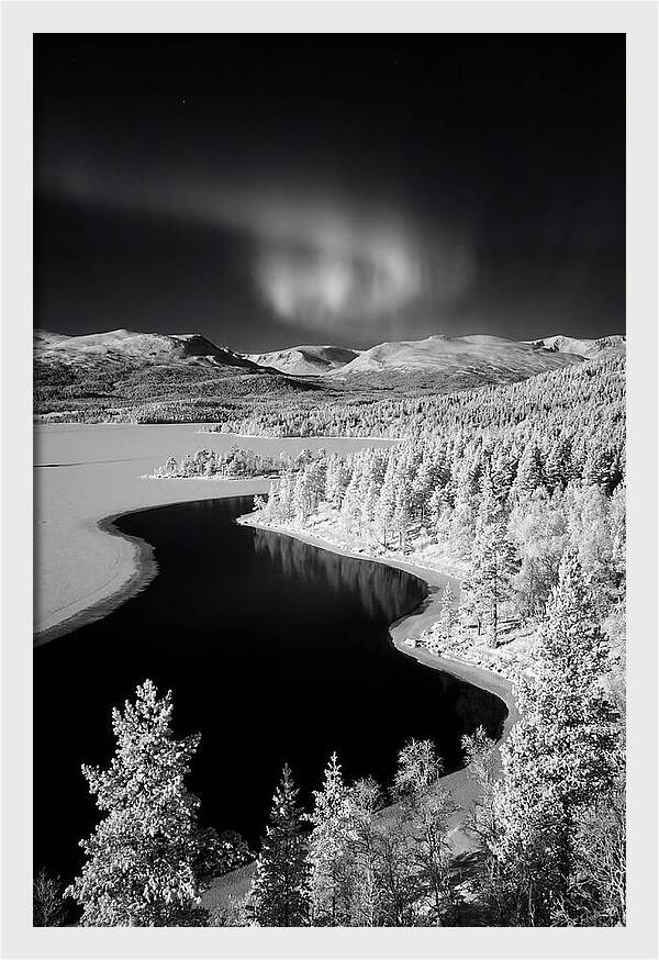 Dancing Lights Over Tornetrask Lake
