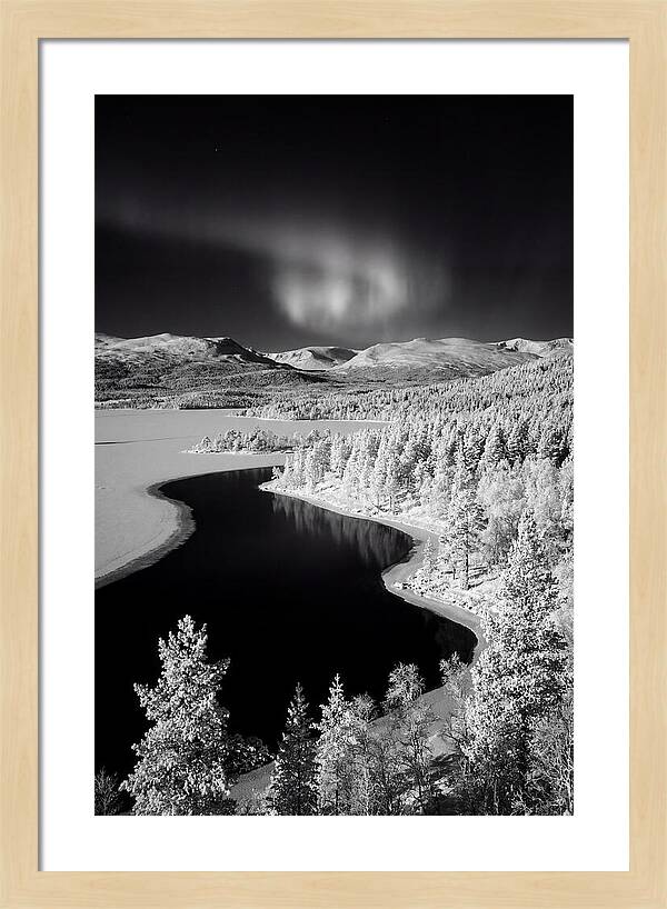 Dancing Lights Over Tornetrask Lake