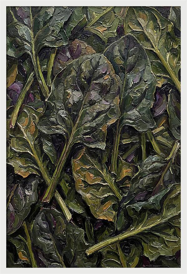 Dark Green Spinach Leaves