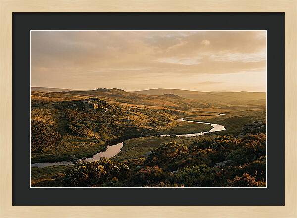 Dartmoors Serene Landscape