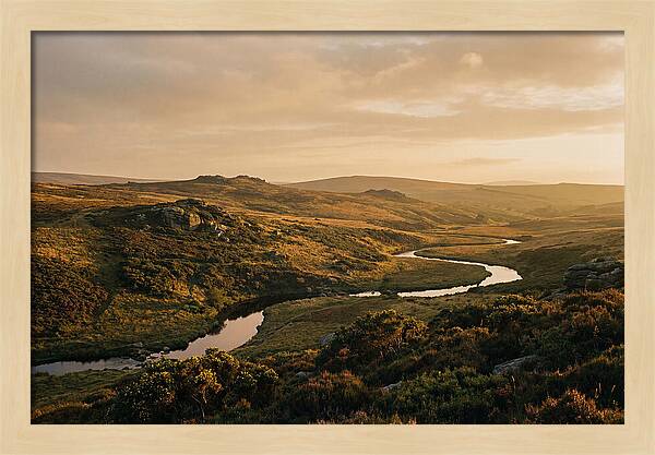 Dartmoors Serene Landscape