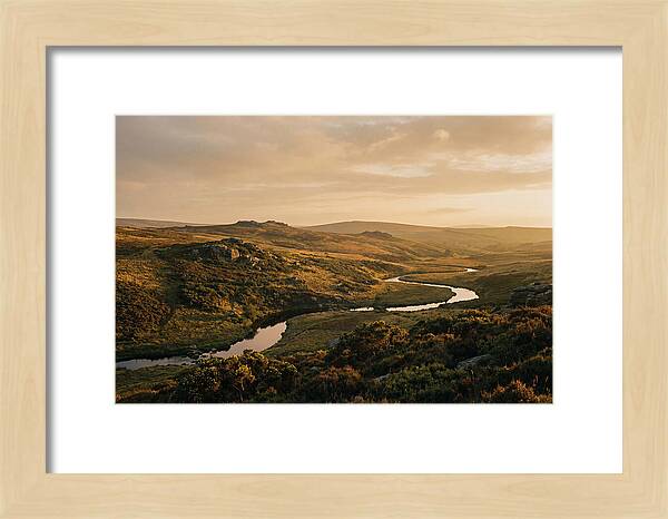 Dartmoors Serene Landscape