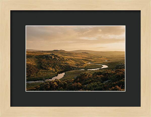 Dartmoors Serene Landscape