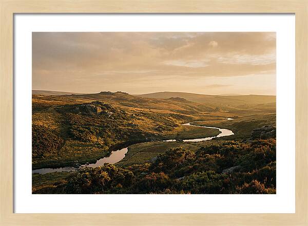 Dartmoors Serene Landscape