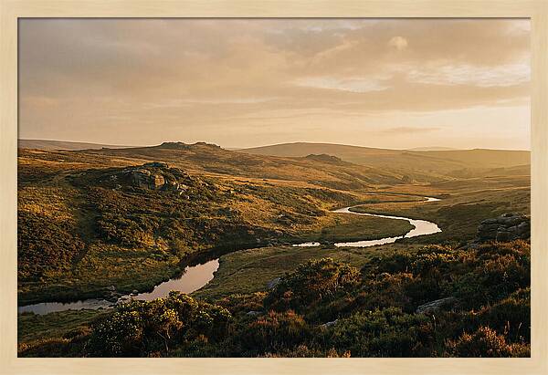 Dartmoors Serene Landscape