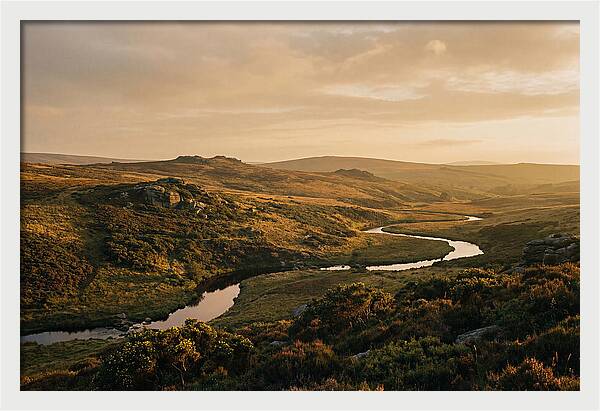 Dartmoors Serene Landscape