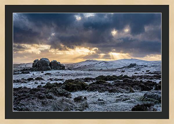 Dartmoors Winter Majesty